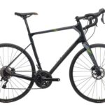 RENEGADE EXPERT-700cx58cm - Carbon, 58cm