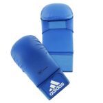 adidas karate mitt