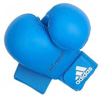 adidas karate mitt