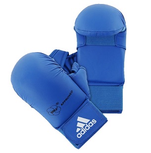 adidas karate mitt