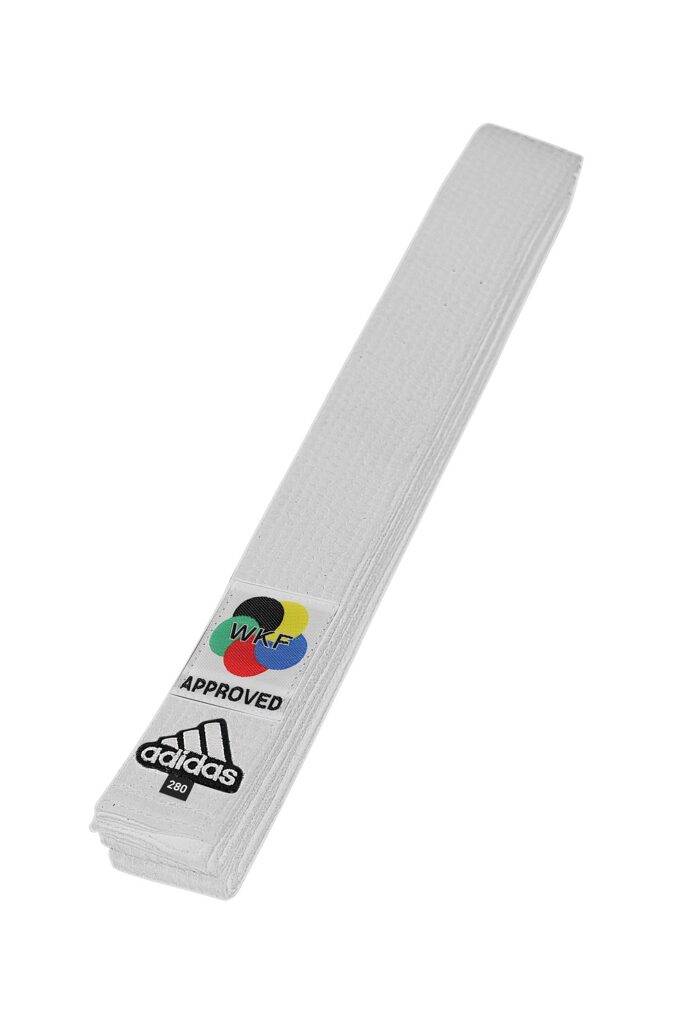 adidas karate white belt