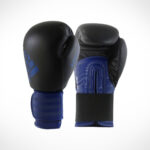 Hybrid 100 Boxing Gloves