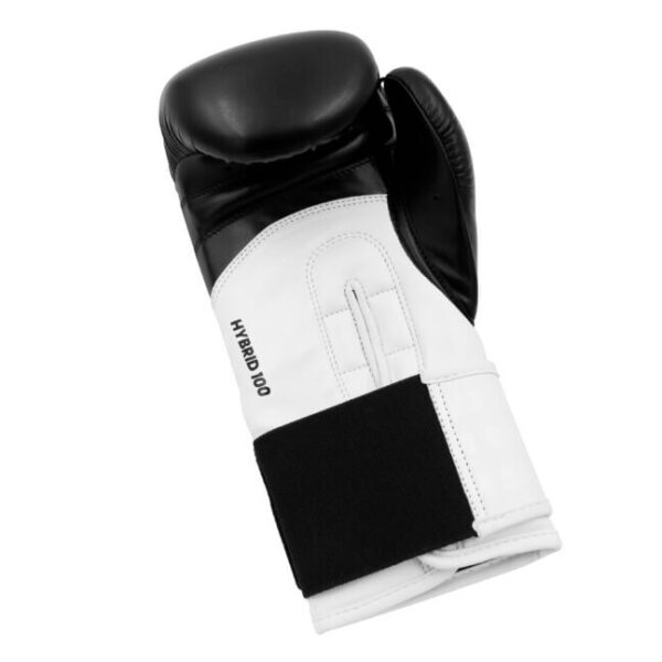 Hybrid 100 Boxing Gloves