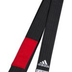 adidas Jiu-Jitsu belt