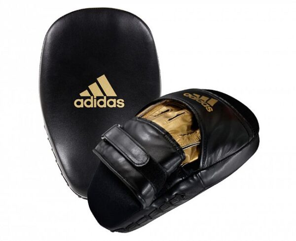 Speed Coach Mitts