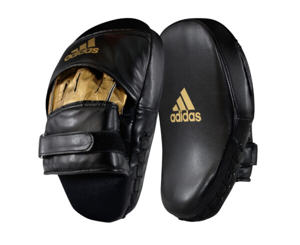 Speed Coach Mitts