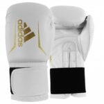 Speed 50 Boxing Gloves