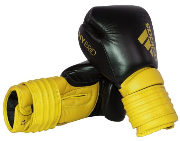 HYBRID 300 Boxing Gloves