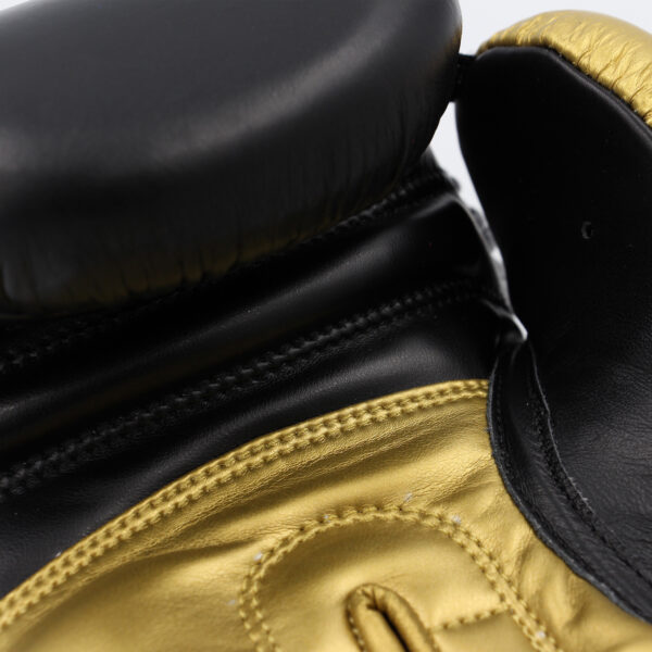 Hybrid 200 Boxing Gloves